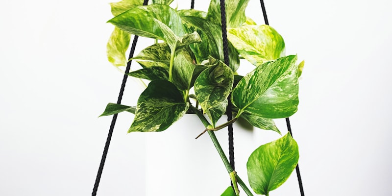 2026年世界杯预选赛欧洲区激烈比赛现场高清图片